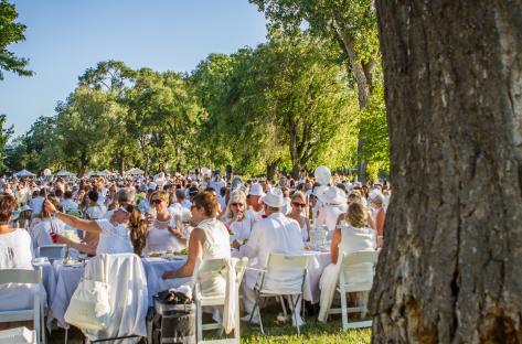 Diner en Blanc Image 2