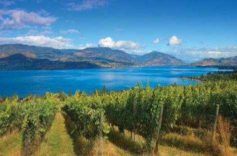 Summerhill Winery