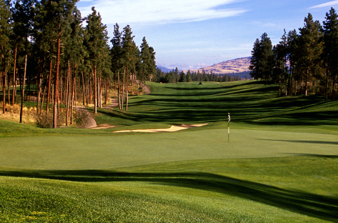 Okanagan Golf Club - The Bear Header 2