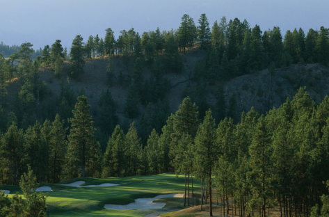 Okanagan Golf Club - The Quail Header 2