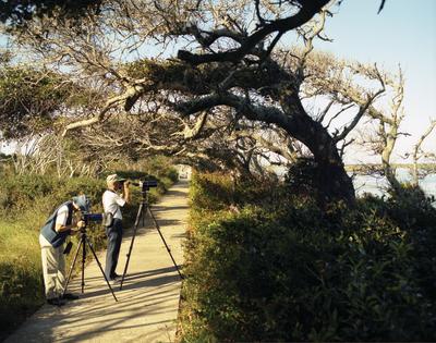 birders at pea island wildlife refuge