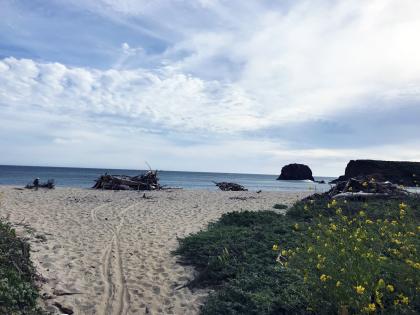 Andrew Molera State Park & Beach