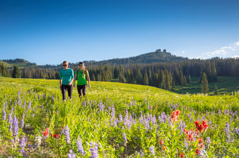 Hiking on Rabbit Ears Pass outside of Steamboat Springs, Colorado