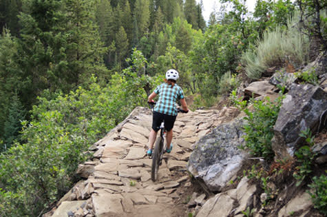 Spring Creek Downhill