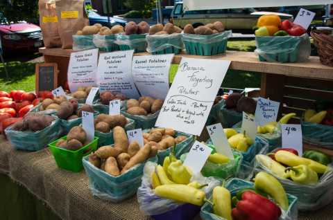 Cazenovia Farmers Market 3