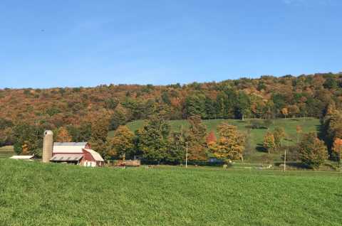 Creekside Meadows Farm