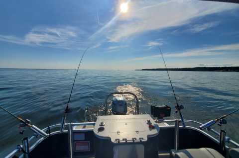 FishingCure