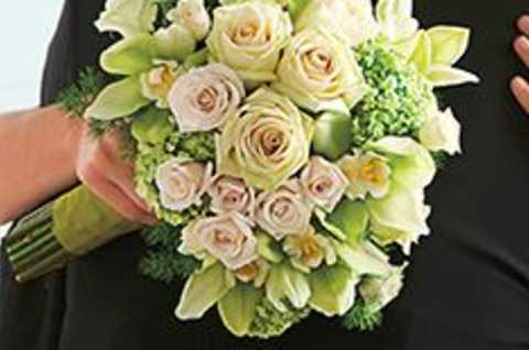 Oneida Floral