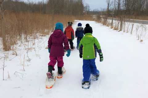 Snowshoeing at the Great Swamp Conservancy