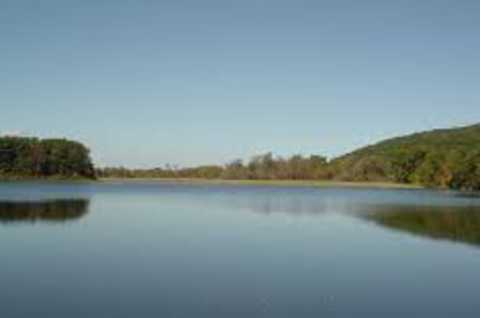 Eaton Brook Fishing