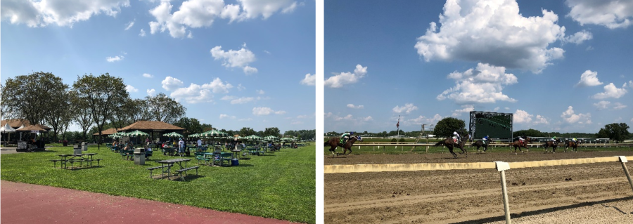 Parx