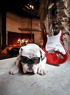 Music Dawg