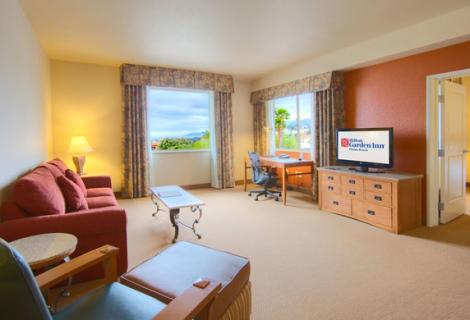 Hilton Garden Inn Room