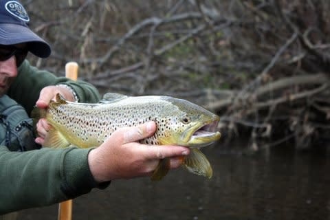 Winter Fishing in PA