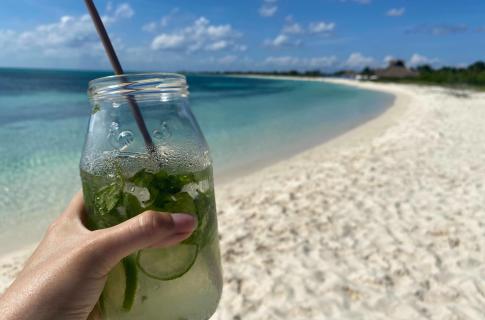 Bebidas