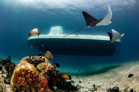 Submarino 3