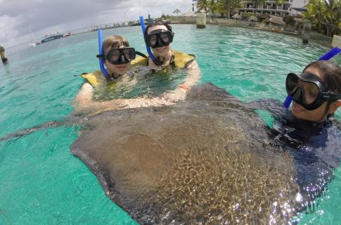 EVERYBODY LOVES RAYS!