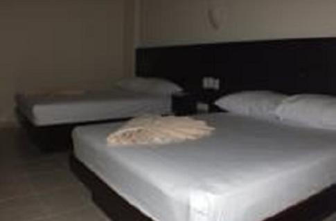 Image2