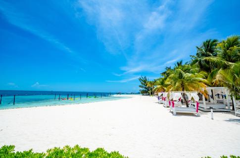 Playa Grand Oasis Palm