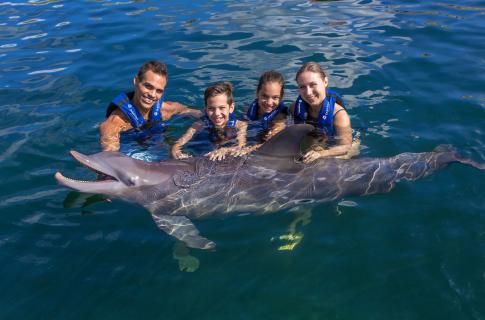 nado-con-delfines-riviera-maya-1