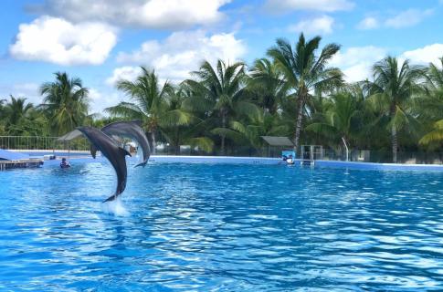 Dolphin Discovery Playa del Carmen