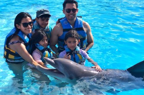 Swim with dolphins in Playa del Carmen