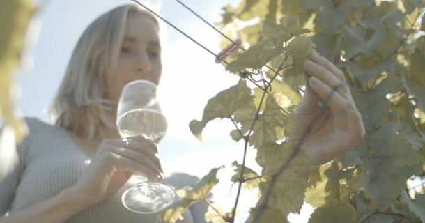 woman looing at vines