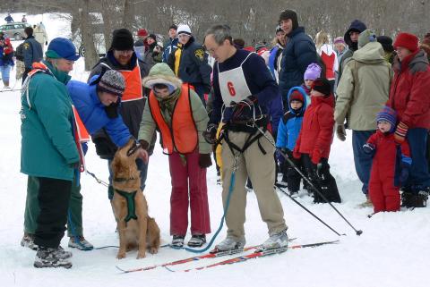dog sledding at Mendon Ponds Winterfest