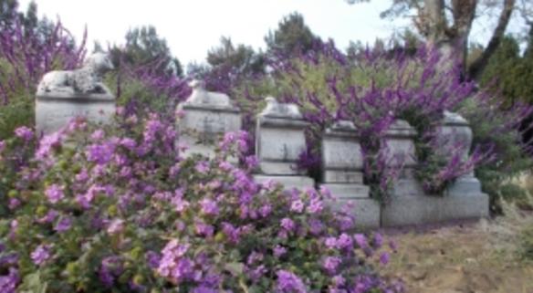 Cemetery