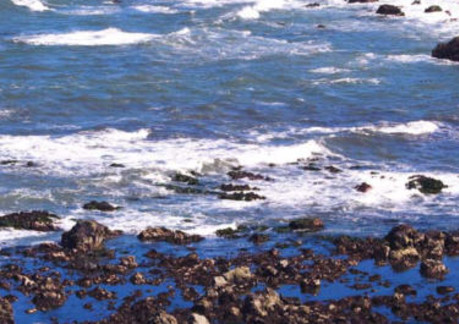 1585P3Patricks Point State Park beach.jpg