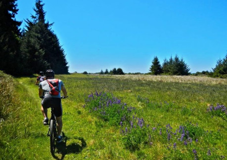 3758P3From Redwood Adventures website.jpg