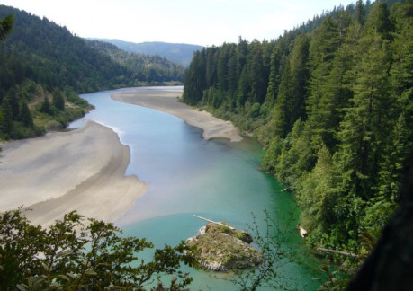 Humboldt Redwoods State Park