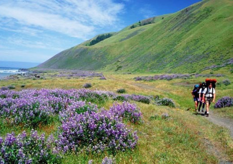523P3Hike the Lost Coast Photo courtesy of the Bureau of Land Management.jpg