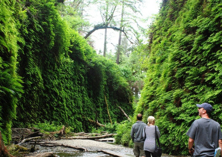 5549P3Fern canyon.jpg