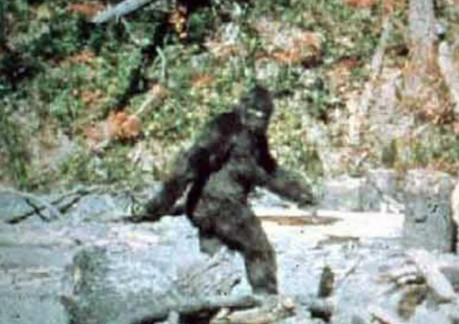 Screen Shot of the Patterson-Gimlin Bigfoot
