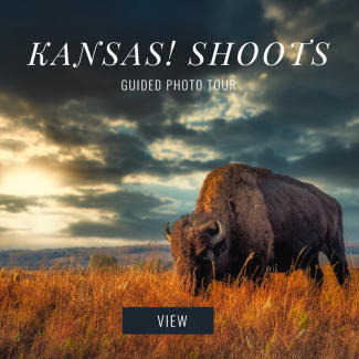 Kansas Shoots