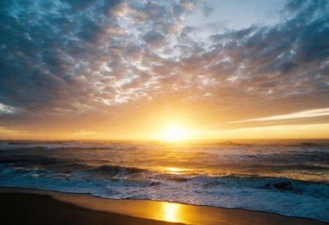 1431437102.hV8z.NCBI-Beach1-700x467.jpg