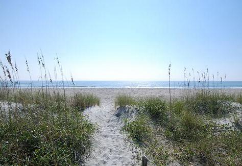 1458247111.3FUl.TDA-images2.jpg