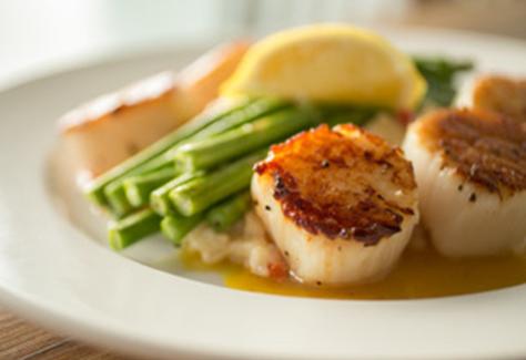 1499884893.iiY2.New-Scallop-3-NCBI.jpg