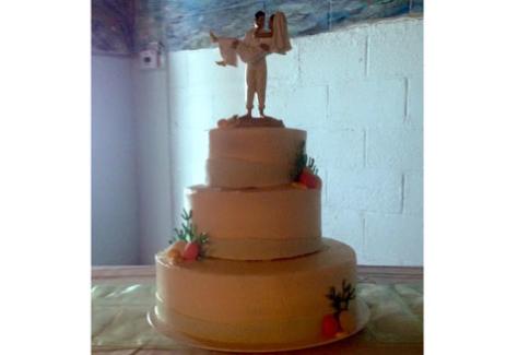 1512074861.oQqT.Wedding-Cake-1-NCBI.jpg