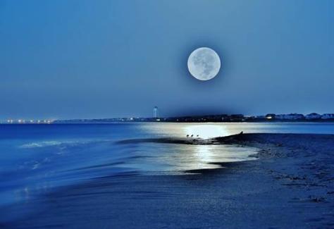 1547736974.6Wmn.Oak-Island-Harvest-Moon.jpg