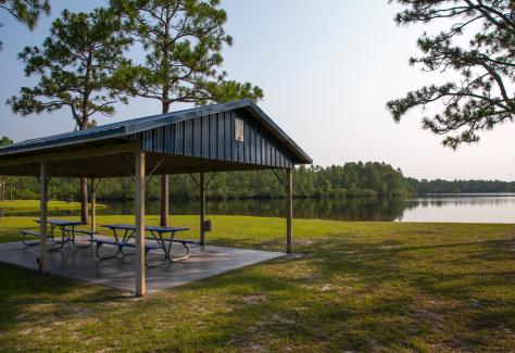 Spring Lake Park Canopy TDA