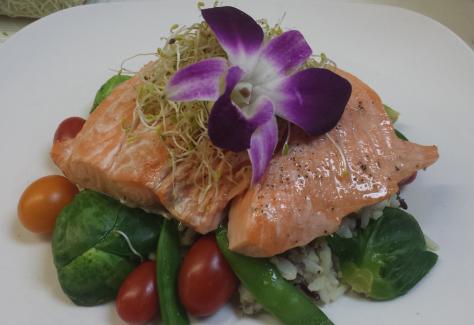 bella cucina salmon resized 7/28/2021