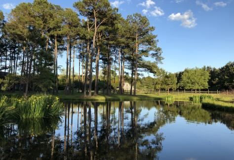 greenlands_farm_pond