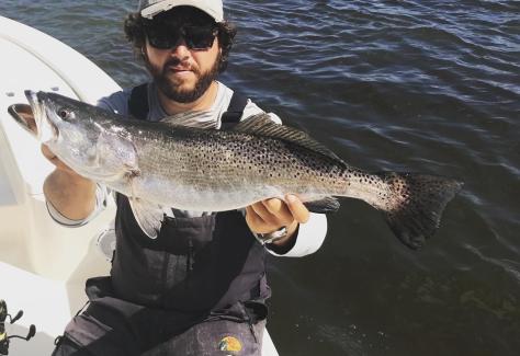 Trout