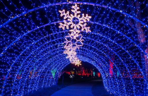 North Carolina Arboretum S Winter Lights Tickets Details