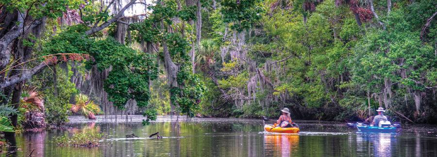 Two Kayakers sightsee along Spruce Creek