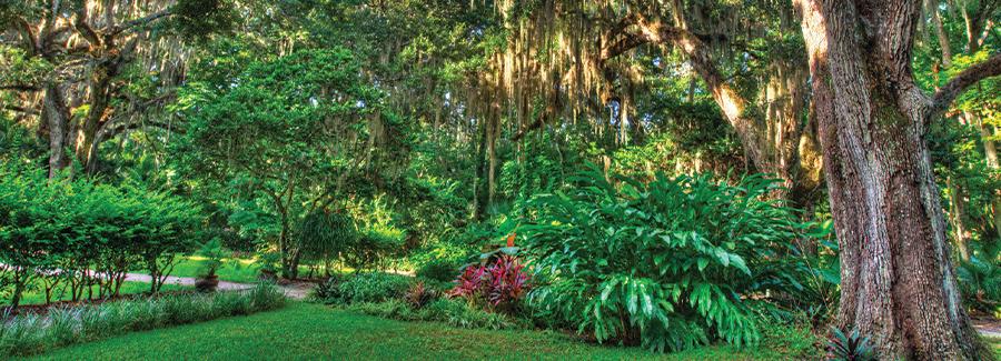 A pleasant scene at Dunlawton Sugar Mill Gardens, perfect for a romantic stroll