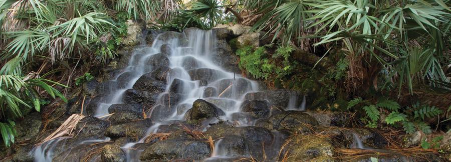 A waterfall at the Ormond Memorial Art Museum and Gardens