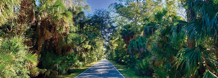 The Ormond Scenic Loop & Trail is a must-do scenic drive